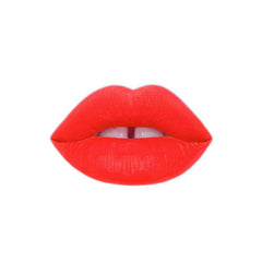 Long Lasting Waterproof Liquid Matte Lipstick
