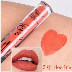Matte Lip Gloss Liquid Waterproof Matte Lipstick