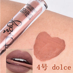 Matte Lip Gloss Liquid Waterproof Matte Lipstick