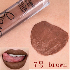 Matte Lip Gloss Liquid Waterproof Matte Lipstick