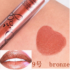 Matte Lip Gloss Liquid Waterproof Matte Lipstick